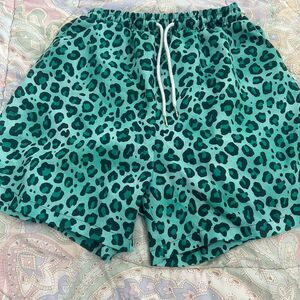 Unbranded Women's Green and Blue Shorts